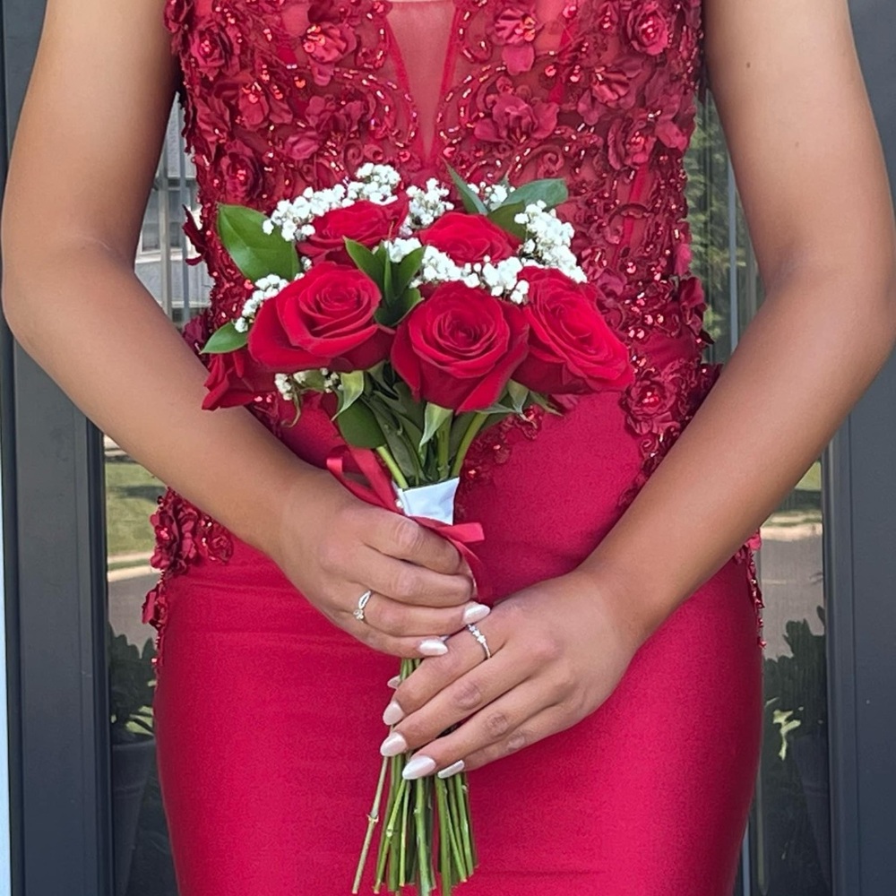 Absolutely gorgeous prom dress